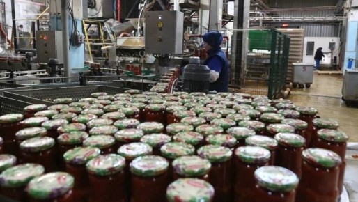 ����������� ���������������� � ������������ ������� ������� � ���� ���