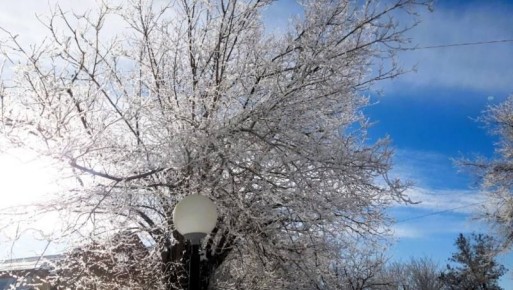 � ������������ ������� ������ ����� ���������