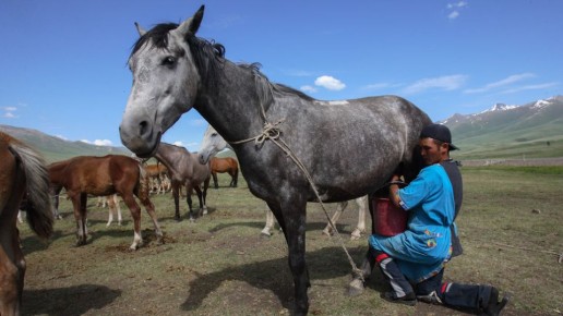 ������ ����� � ����� �������� ����������� ����� � � ��������������