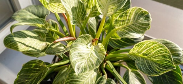 ����������� ������: ��������� ��� �� ����� � ������������ ��������