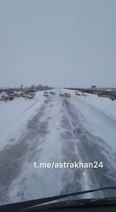 �����: ����� �������� ���������� ������ � ������������ �������