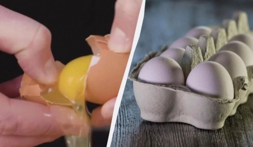 ��� ��������� ���� ��� ������� ������ � �����