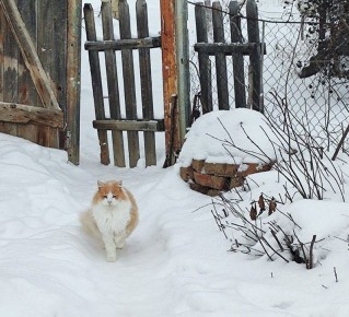 � ������ �� ������. 30 ������ � ��������� ����� ������� � ������������, ��� ������������ �������