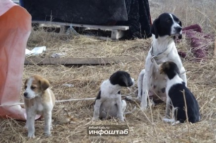 ��������� ������. ��� �������� ������ ���������� ���������� ������������