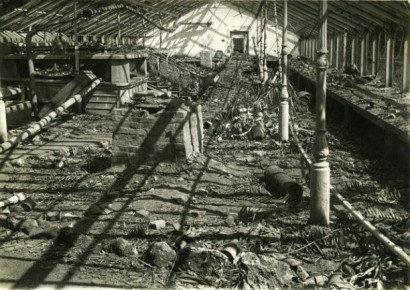 ������������ ��� ��� ������ �������: ��������� ���������� ������� � ����� �� ����������