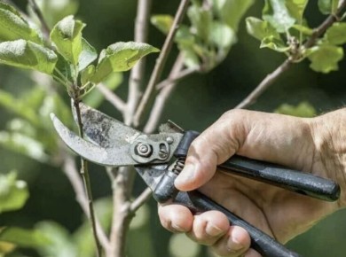 ������ ������� ������ � ����: ������� ��������� ������������ �����