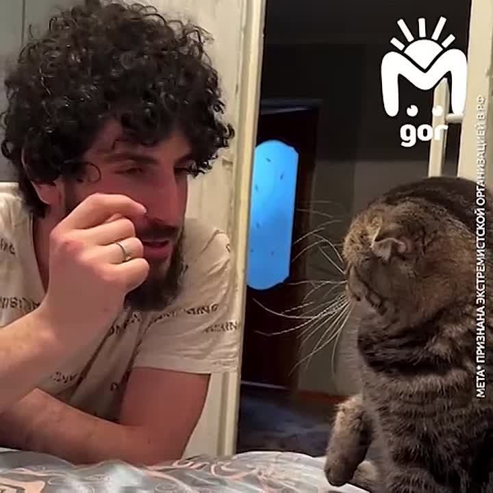 Абьюзивные отношения всплыли в семье фермера из Дагестана