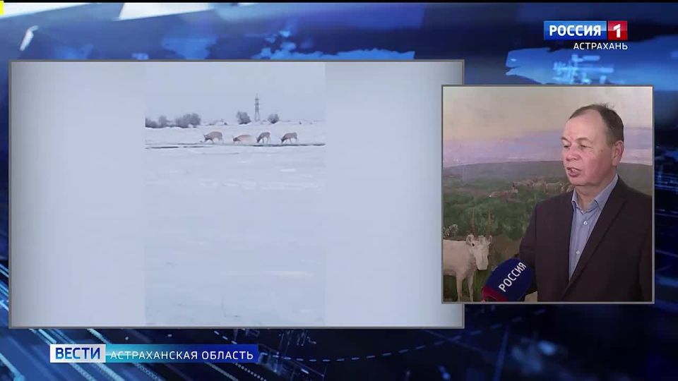 � ������������ ������� ������ ������� �� ����������