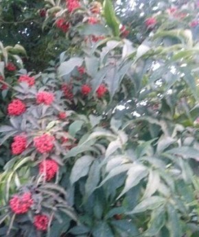 ������� ������: ������� ������������ ���� ��� �������� �������� ��������?