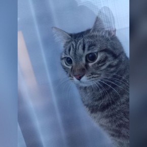 � ������ �� ������. 2 ������� � ��������� ����� ������� � ������������, ����� �������� ��������� �����