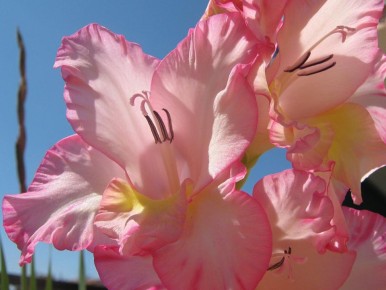 ��� ��������� ��������� �� ������������ ��� �� ������������� ��������