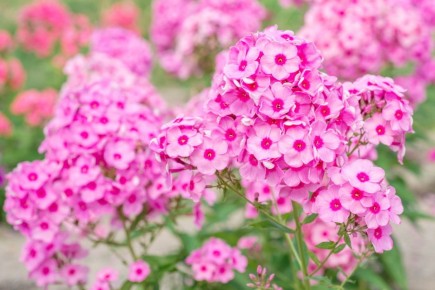 ���������� ������: ������� � ��������������� � ����� ����