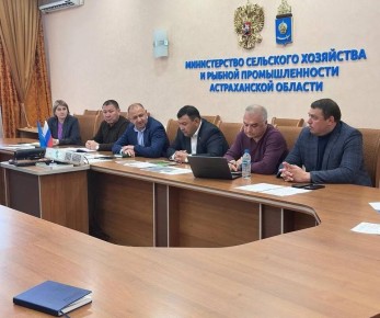 ������� ���: ��������� ������������� ��������� �������� ��������� ��� ������������ �������