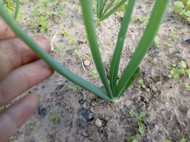 ��� ��������� ������������� ��� � ����� ���� ��� ������������� ������