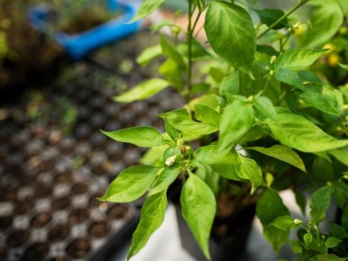 ��������� �����: ��� ����� �� ������� ���������� ��� ������