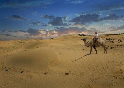 ������������ ������� ����� � ���-50 ������������� �������� �������������