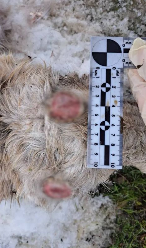 ������������ ������� ����������� �� ��������� ��������������� �� ���������� ������ ����� ��������