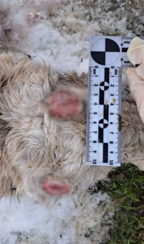 ������������ ������� ����������� �� ��������� ��������������� �� ���������� ������ ����� ��������