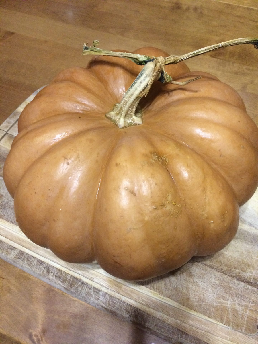 Как чахлая тыква стала учителем жизни для своего садовода