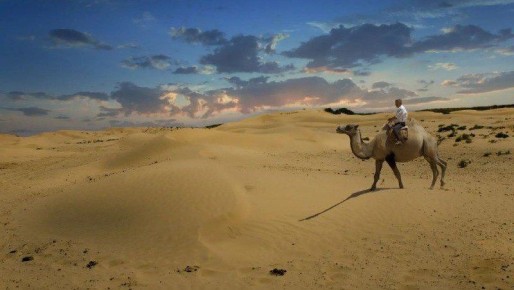 ������������ ������� ����� � ���-50 �������� �� �������������