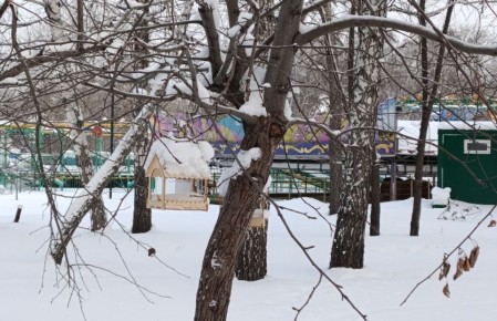 ����� ������� ���� ������ � ������� 2026 ����