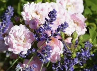 ��������� �����: ������������ ������� � ������ � ��������