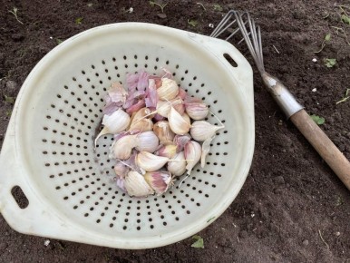 ���������� ������ ������� �������: ������ �����������