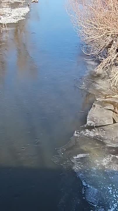 � ������������ ������� �������� ������� �������