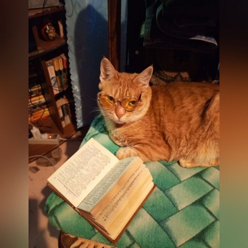 � ������ �� ������. 6 ������� � ��������� ����� �����������, ������� �� ������������