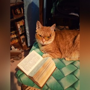 � ������ �� ������. 6 ������� � ��������� ����� �����������, ������� �� ������������