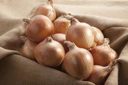 ��� ����� ��� ������ � ��� ��� ��������� ����������?