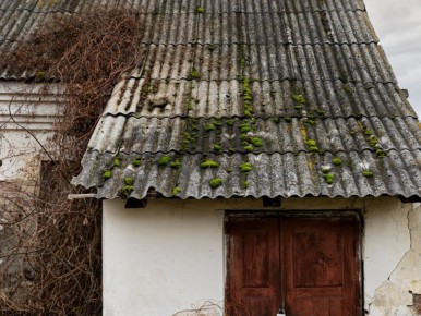 ��� ��������� ������������ ������ �����: ���� ��� ����