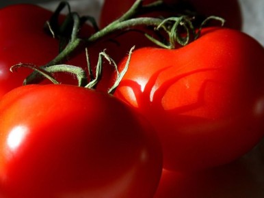 ������������ ������ ��� �������: ��� �������� ������ � ���������� �� ����������