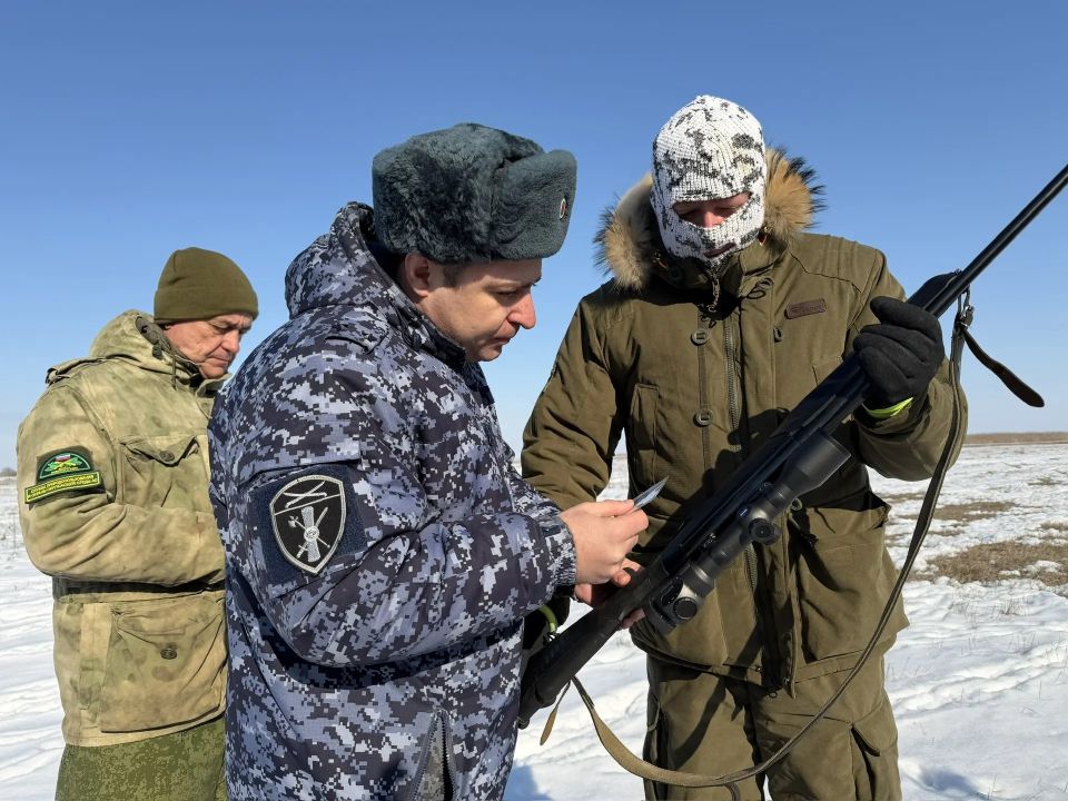 В Астраханской области росгвардейцы проводят рейды по охране сайгаков