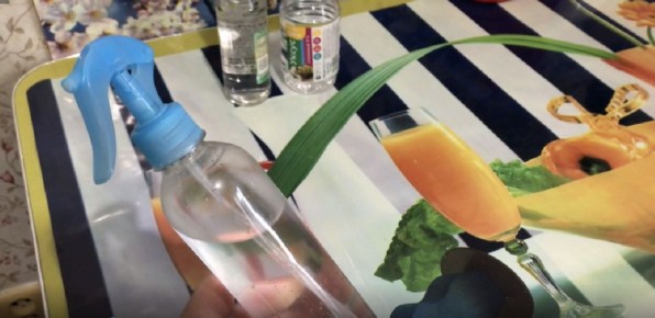 ����������� �������� �������� ��� �����: ��������� ������ ������ ���� ����� � �����������