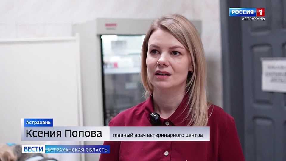 ����������� ����������, ��� ����������, ��� ������� ����� ��������� ������