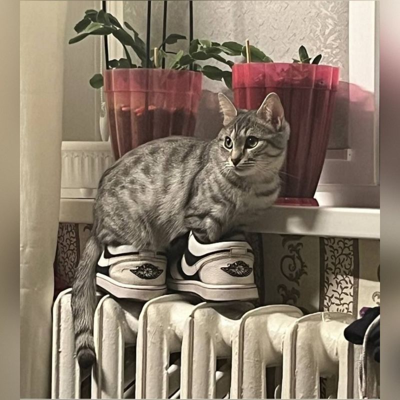 � ������ �� ������. 7 ������� � ��������� ������������ ���������� ����������, ��� ������������ �������