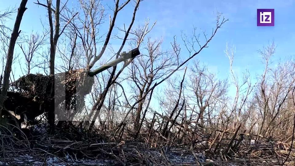 ������������ ����������� ����� "�����" ���������� ��������� ������ ������ �� ��������������� ����������� � �������� ��������� ������� ���� �20 ��������, �������� �� ���������� ������ ������