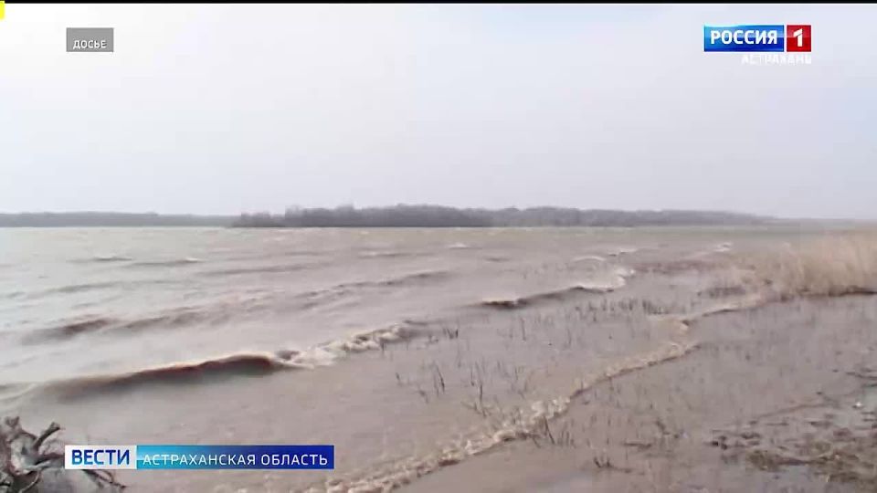 ������������� ������������ ������� �������� ������ ��� ������������ ����������� ��������, ��������� ����������� ���������� ������� � �������� ���