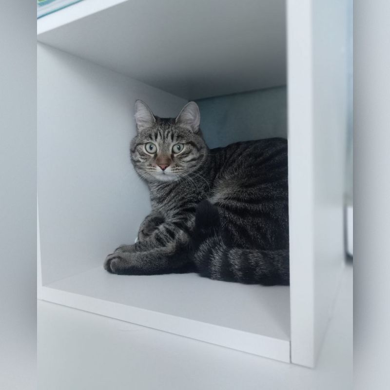 � ������ �� ������. 9 ������� � ��������� ����� �������, ����� �������� ��������� �����, ���� � ��� ������������ �������