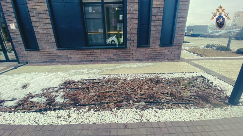 � ��������� ������ ������ ��������� ���������� �������� �� ����� ������� ������� �� ����