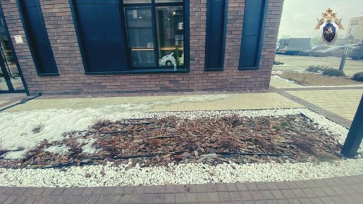 � ��������� ������ ������ ��������� ���������� �������� �� ����� ������� ������� �� ����