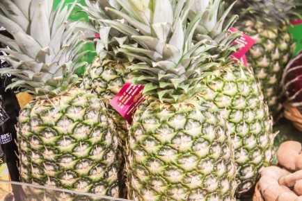 ����� � �������������: ��� ������� � �������� ������ ������ � ������ ������� �� ���������