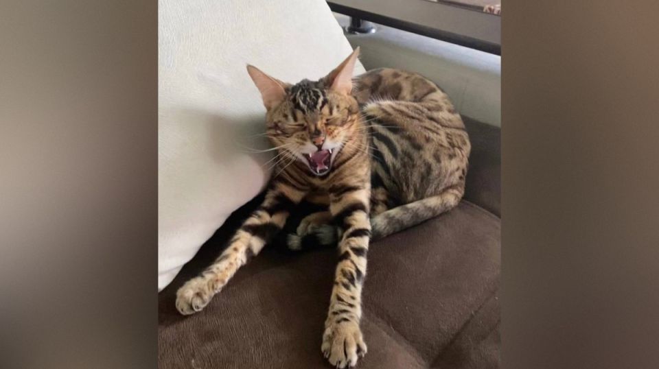 � ������ �� ������. 10 ������� � ��������� ������������ ���������� ����������, ��� ������������ �������