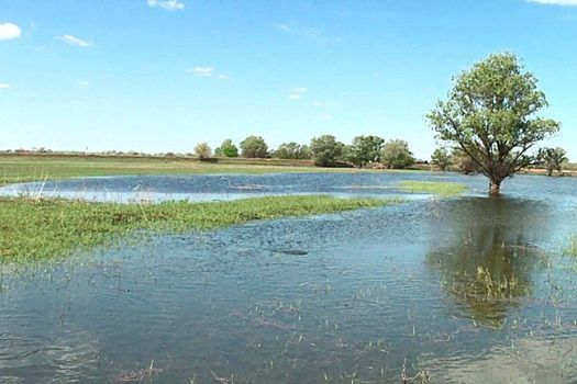 � ������������ ������� ����������� ��������� �������� ��� ��� ����������� �������������� ����������� ��������� �������