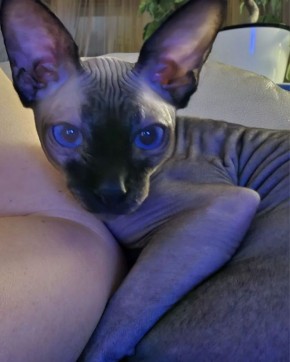 � ������ �� ������. 11 ������� � ��������� ������������ ������������ ������