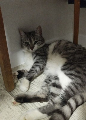 � ������ �� ������. 12 ������� � ��������� ������������ ���������� ����������, ��� ������������ �������