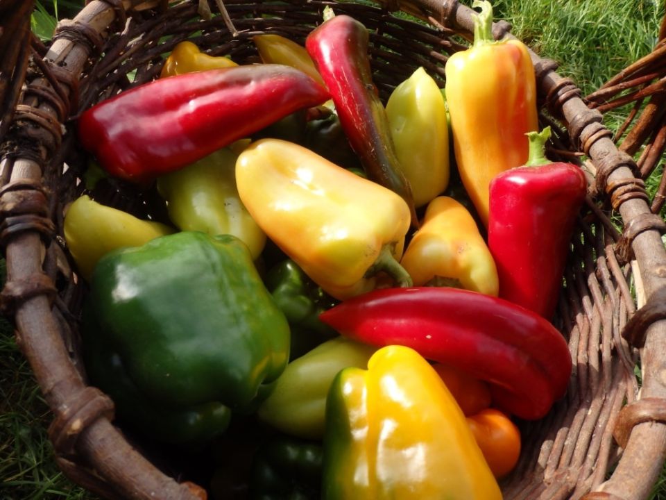 �����, ������� ������� ��� ������