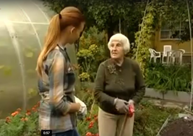 ������� ��������� ����������� ������� �� ������ ������