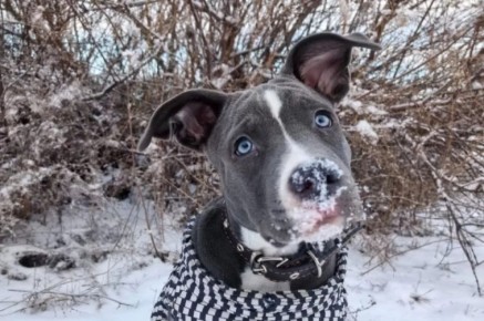 ������ ������ ����. ������������ ��������� �� ������� ������� ��� ������� �������